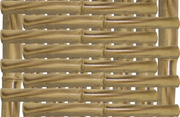 Міцний бамбукові стебла — стокове фото