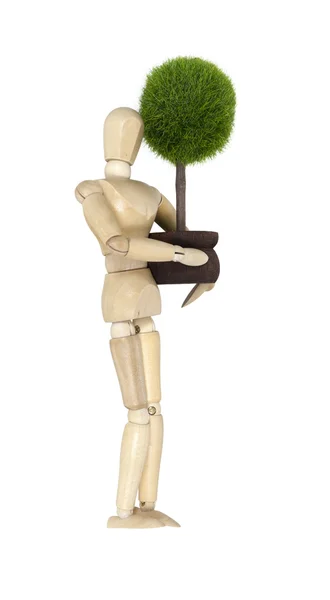 Carrying a Potted Tree — Stock Photo, Image