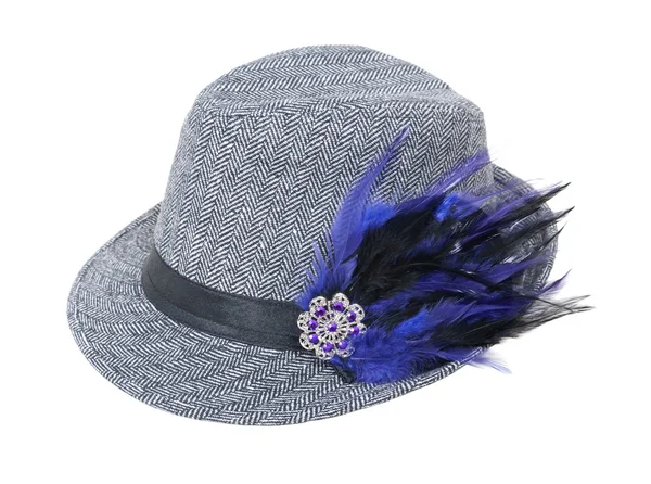 ヘリンボーンの帽子の羽を持つ — ストック写真