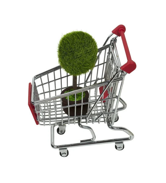 stock image Potted Tree in Shopping Cart