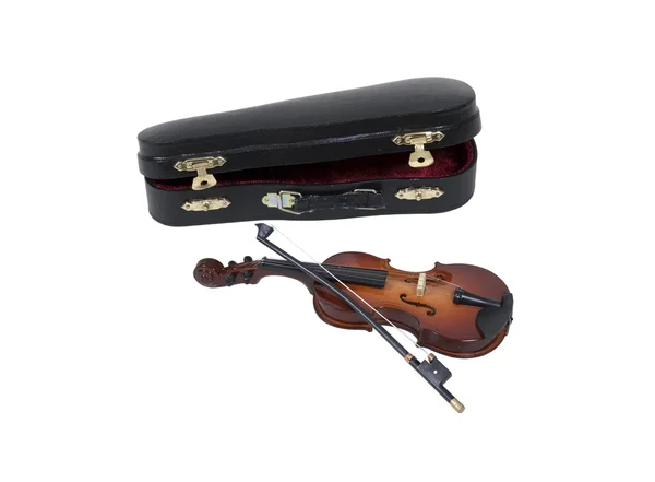Violino com caso — Fotografia de Stock