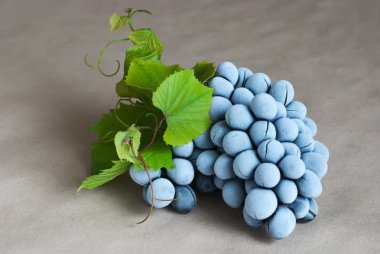 Frozen grapes clipart