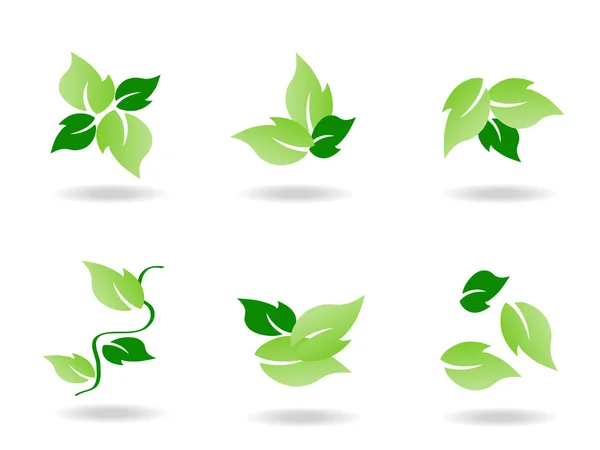 Ikon for grønt blad – Stock-vektor