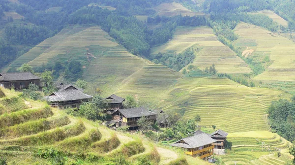 stock image Village and Terrace in the valley