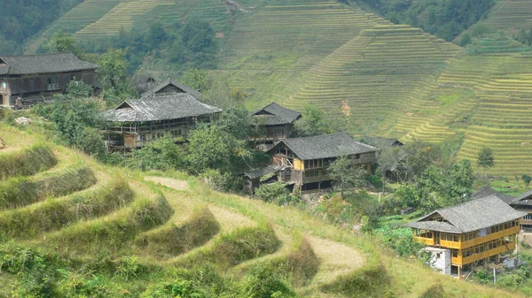 Stock image Village and Terrace in the valley