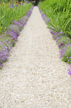 Gravel path in the garden clipart