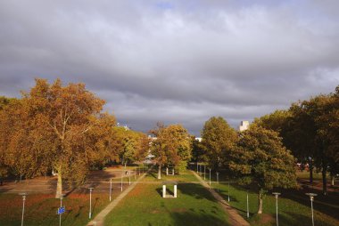 sonbahar ağaç desen ve park