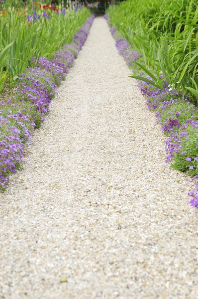 Gravel path in the garden — Stock Photo, Image