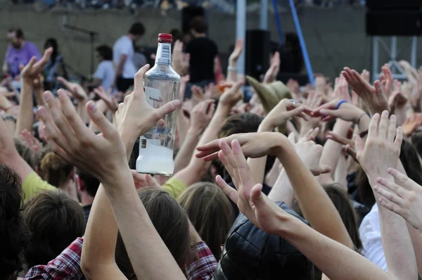 stock image Crazy in the outdoor concerts