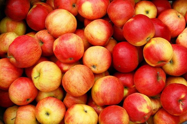 Apples
