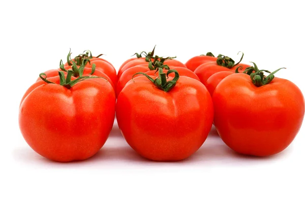 Gruppo di pomodori — Foto Stock