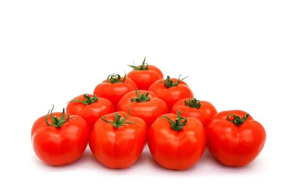 Grupa pomidory — Zdjęcie stockowe