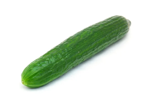 Taze yeşil salatalık — Stok fotoğraf