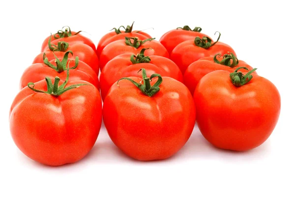Tomatoes group — Stock Photo, Image