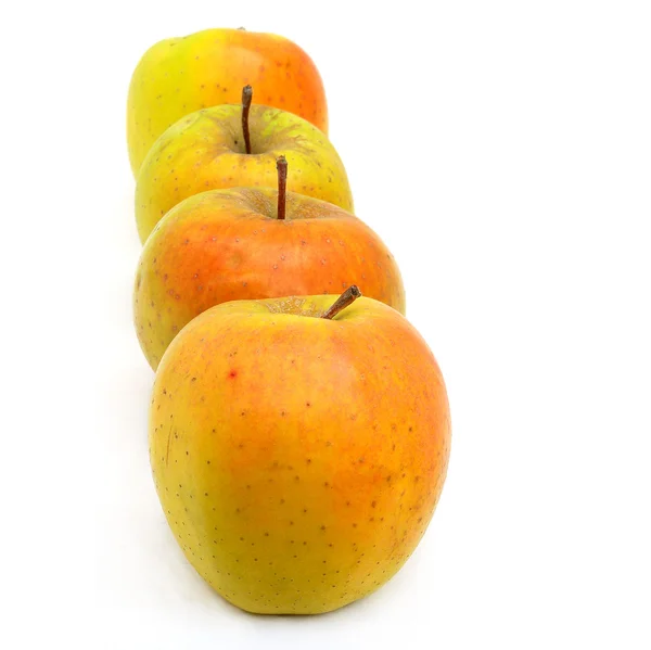 Fruta de maçã — Fotografia de Stock