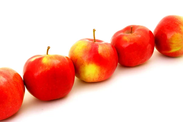 Apples "Idared" — Stock Photo, Image
