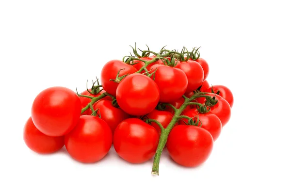 西红柿集团 — 图库照片