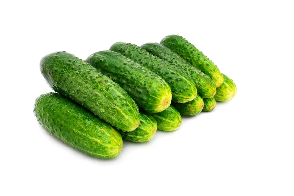 Zelená okurka — Stock fotografie