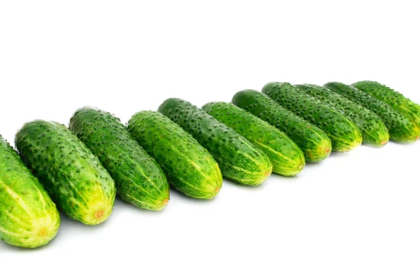 Zelená okurka — Stock fotografie