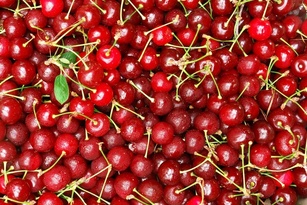 Juicy ripe cherry Stock Photo