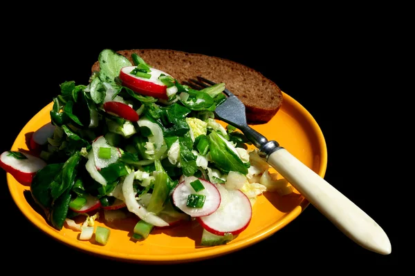 Salade met een gele plaat — Stockfoto