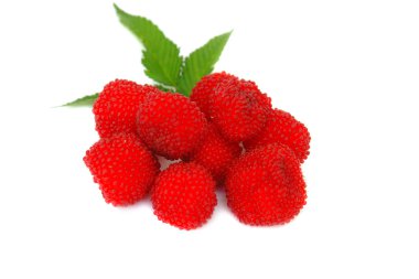 Raspberry clipart