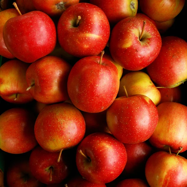 Äpplen eliza — Stockfoto