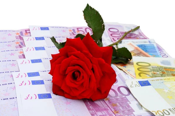 Rose ve euro para — Stok fotoğraf