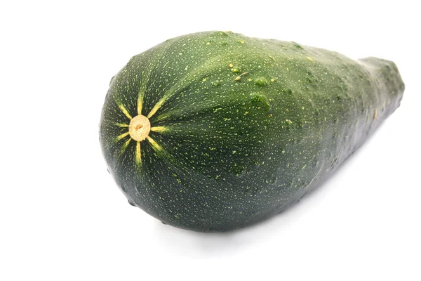 Green vegetable marrow or zucchini — Stock Photo, Image