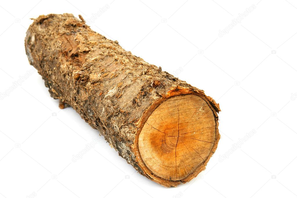 Birch logs