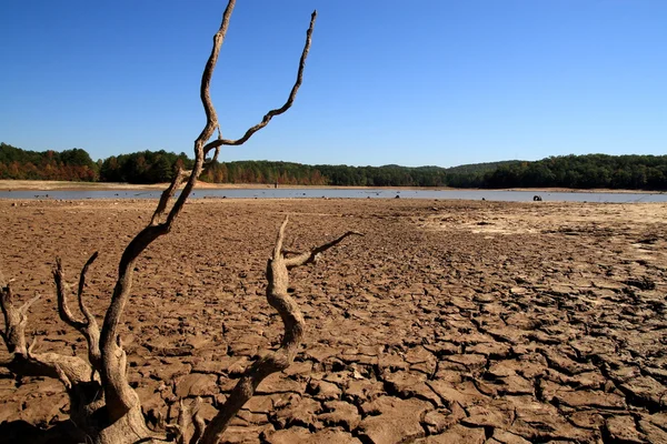 Засуха это. Засуха. Засуха в Казахстане. Засуха рек. A drought – засуха.