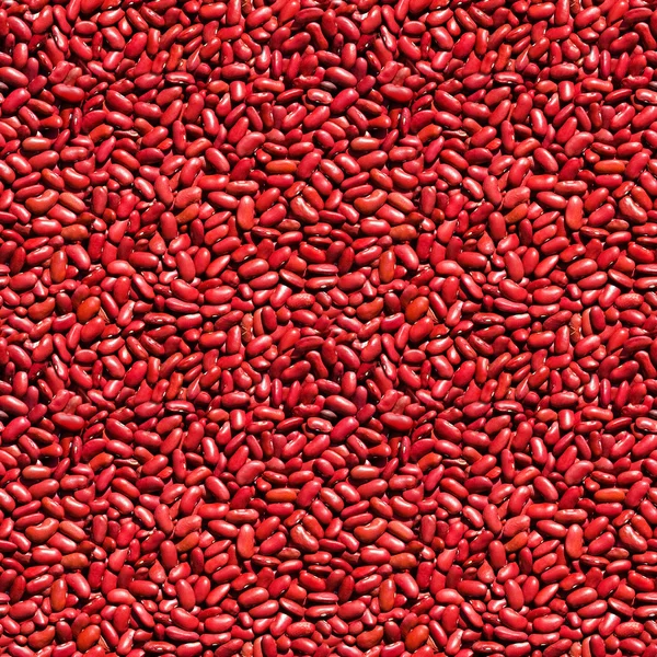 Beans seamless background — Stock Photo, Image
