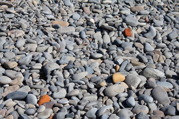 Pebbles cinza à beira-mar — Fotografia de Stock