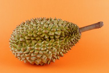 Durian clipart