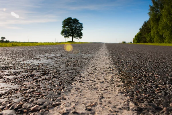 stock image The road