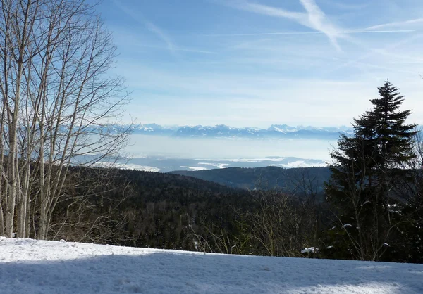 View of the Alps — Stock Photo, Image