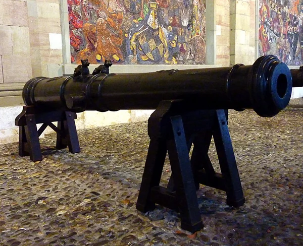 在瑞士日内瓦的黑炮 — 图库照片