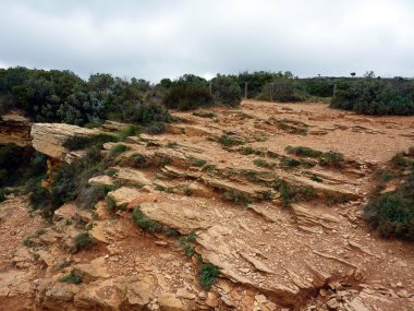 Red rocks and vegetation clipart