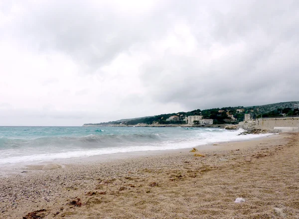 在黑醋栗、 法国海滩 — 图库照片