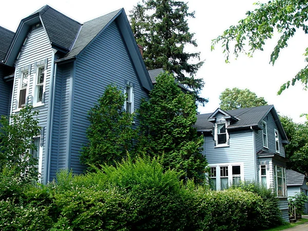 Два голубых дома и растительность — стоковое фото