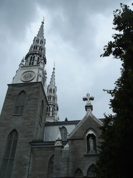Graue basilika in ottawa bei stürmischem wetter — Stockfoto