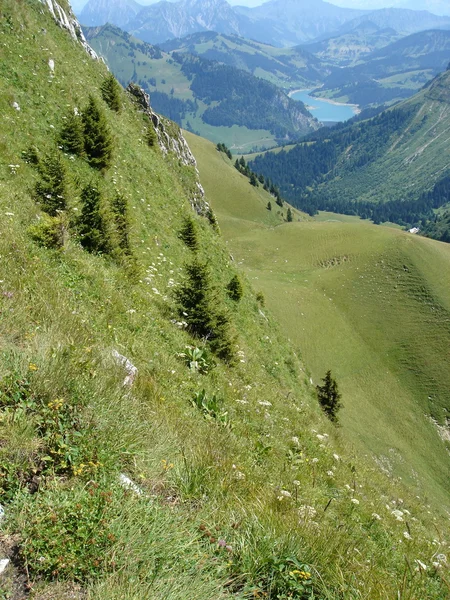 Jezero v Alpách v létě — Stock fotografie