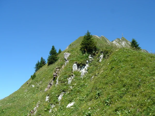 Вершина холма — стоковое фото
