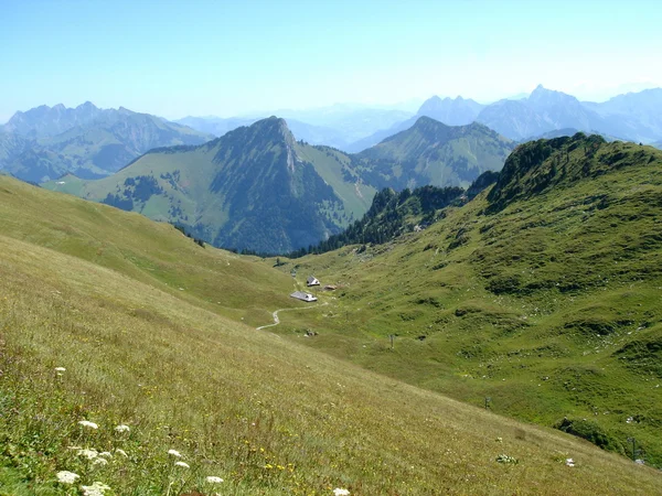 Pad in de Alpen — Stockfoto