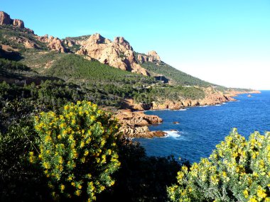 Esterel massif and big vegetation clipart