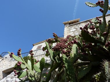 Old house and cactus clipart