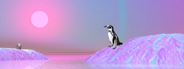 Antartika'da penguenler — Stok fotoğraf
