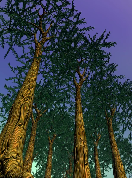Sequoias by night — Stock Photo, Image
