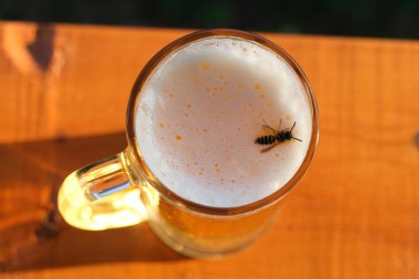 Wasp in beer clipart