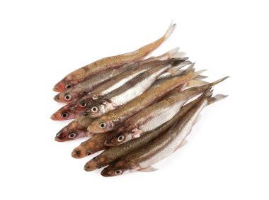 Smelts clipart